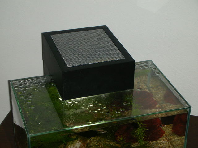 acquario con la luce
  protetta