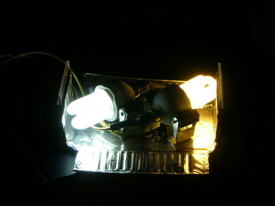 nuova luce 3
