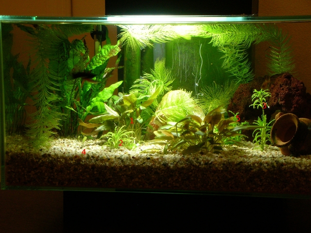 mar 10